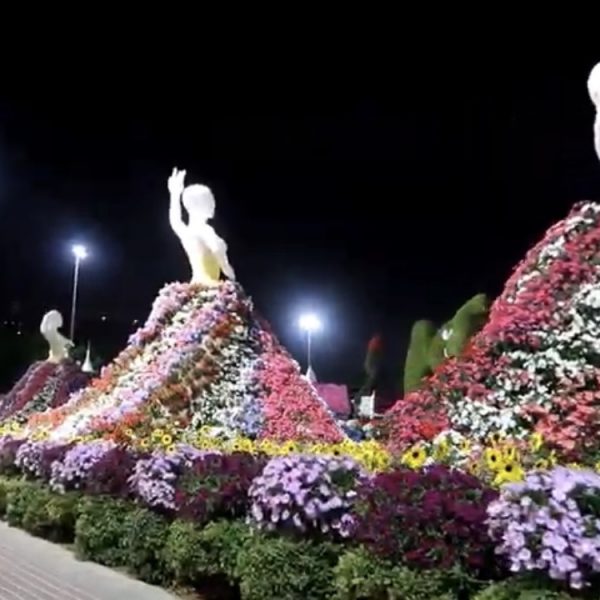 Экскурсии по эмиратам экскурсия Парк Цветов + Глобал Виладж фото 25