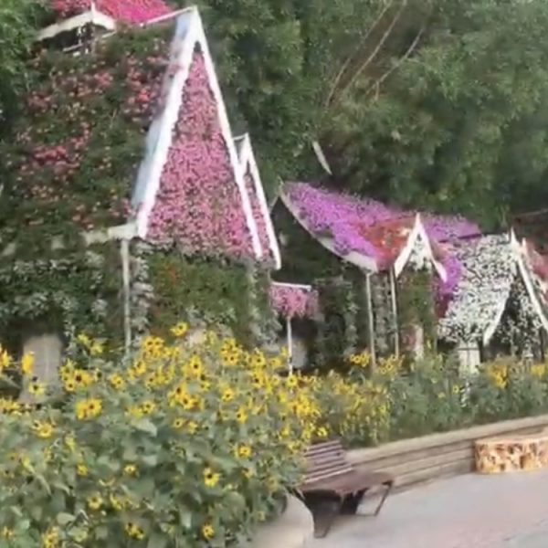 Экскурсии по эмиратам экскурсия Парк Цветов + Глобал Виладж фото 12