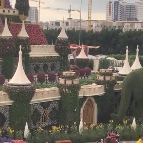Экскурсии по эмиратам экскурсия Парк Цветов + Глобал Виладж фото 8
